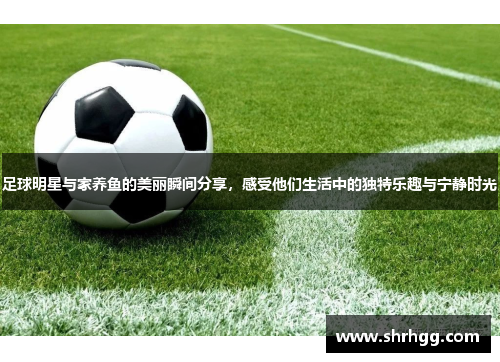 足球明星与家养鱼的美丽瞬间分享，感受他们生活中的独特乐趣与宁静时光