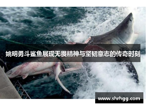 姚明勇斗鲨鱼展现无畏精神与坚韧意志的传奇时刻